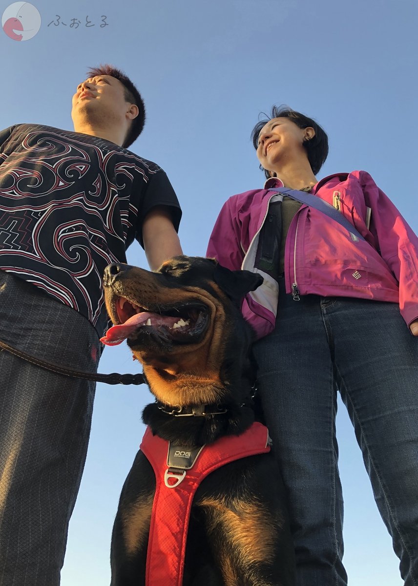 内藤宏和のポートフォリオ2