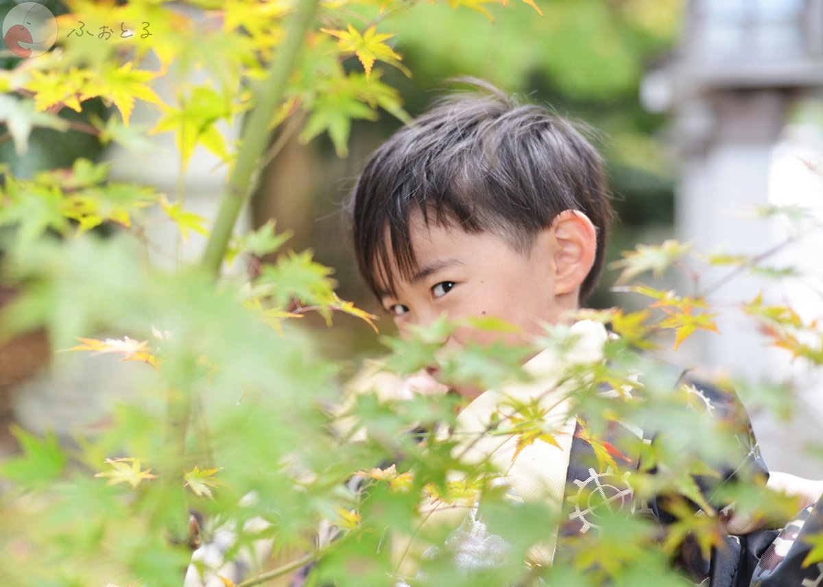 内藤宏和のポートフォリオ4