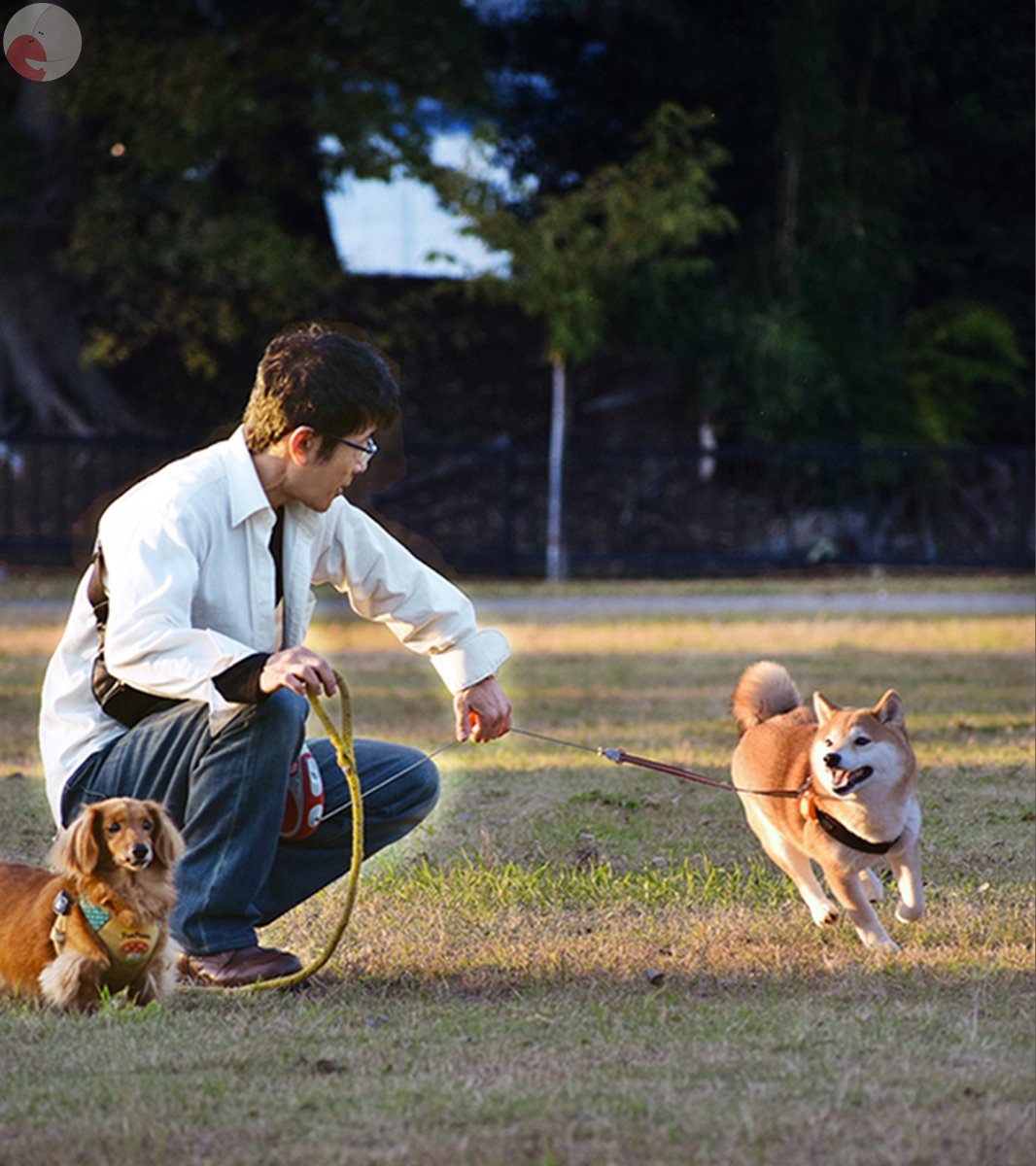内藤宏和のポートフォリオ5