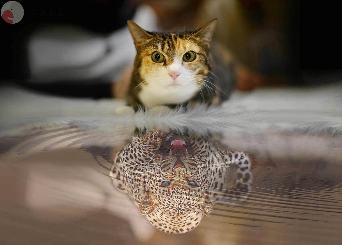 内藤宏和のポートフォリオ6