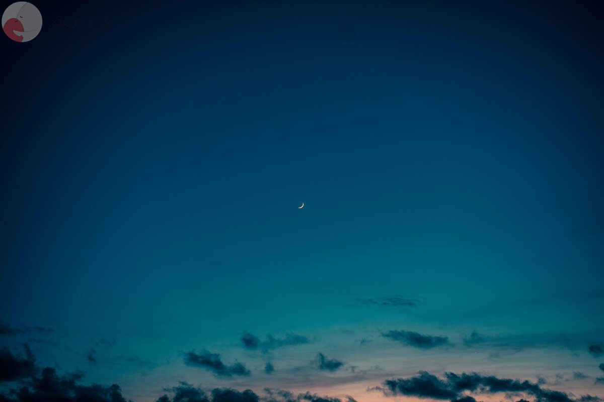 nobuのポートフォリオ0