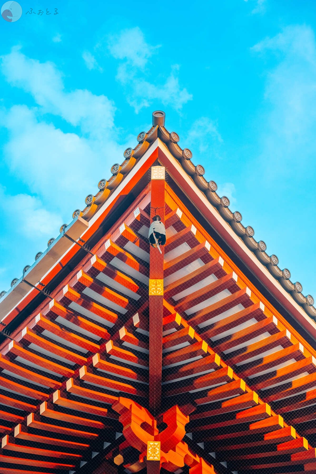 nobuのポートフォリオ5