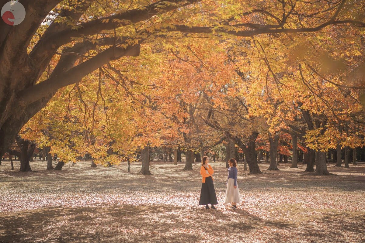 nobuのポートフォリオ8