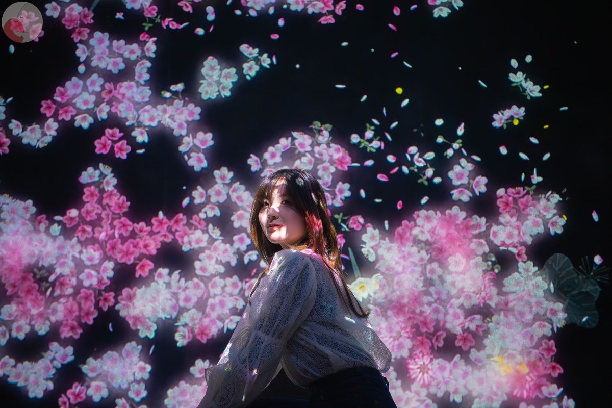 nobuのポートフォリオ2