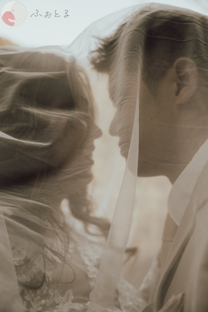 Thamahaのポートフォリオ2