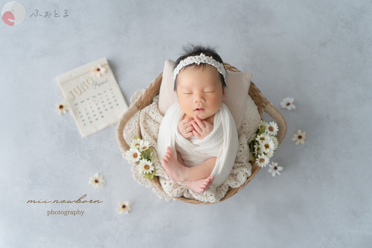 mii.newbornのポートフォリオ9
