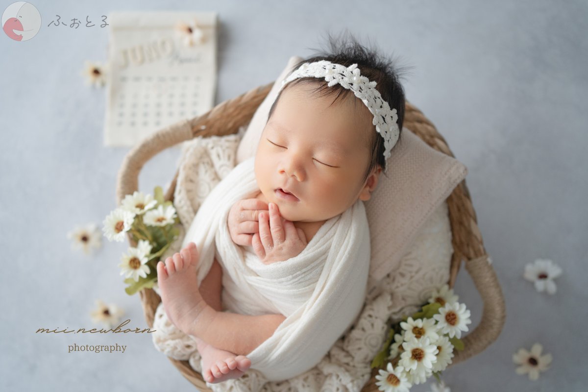 mii.newbornのポートフォリオ2