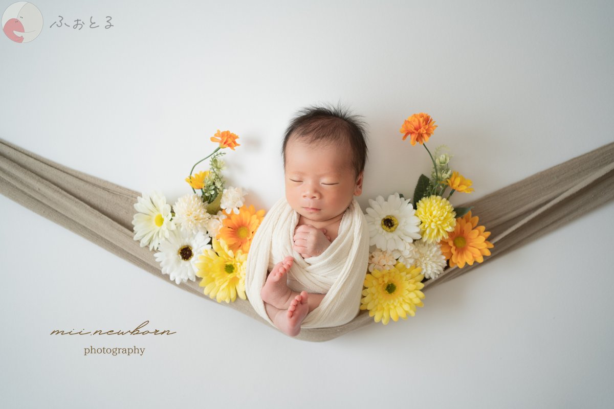 mii.newbornのポートフォリオ6