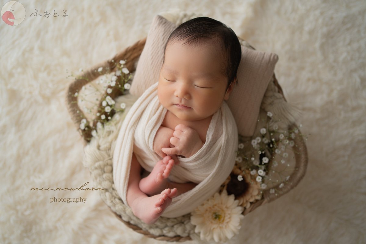 mii.newbornのポートフォリオ3