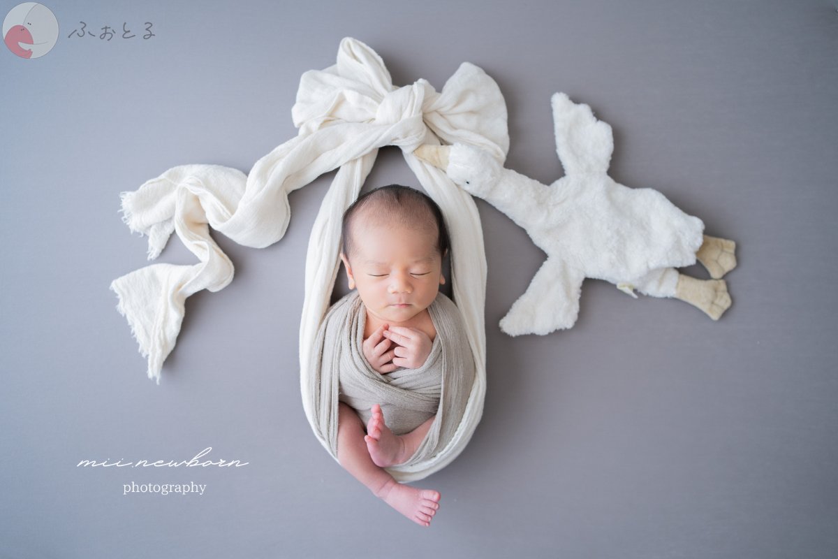 mii.newbornのポートフォリオ9