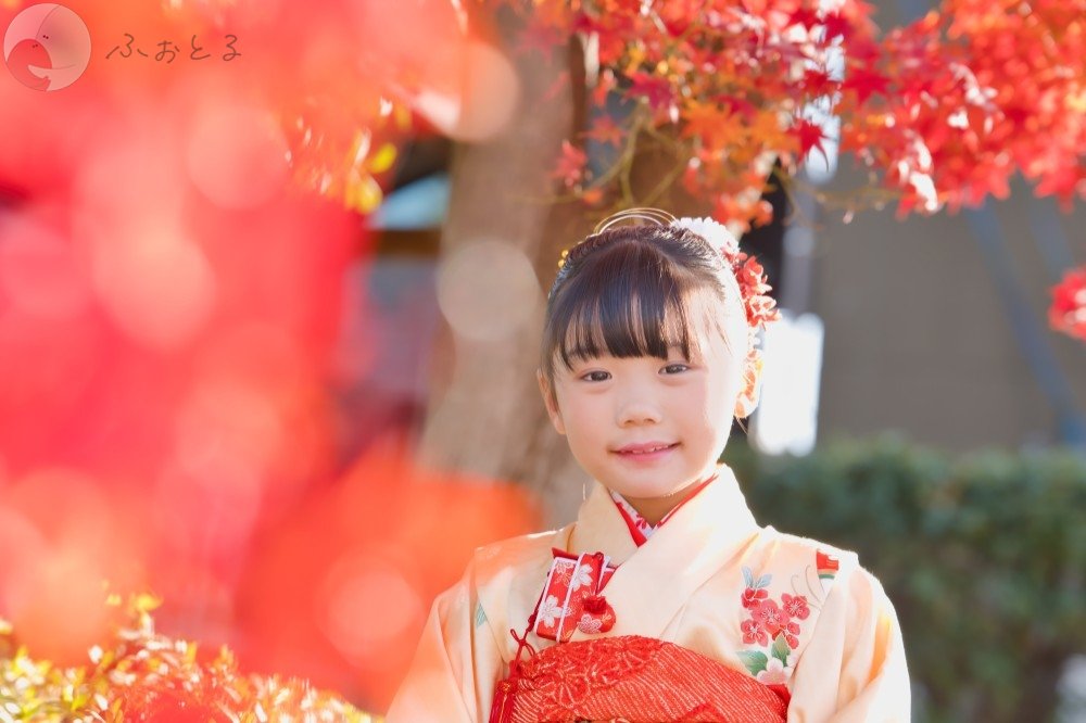 もあさらフォトのポートフォリオ2