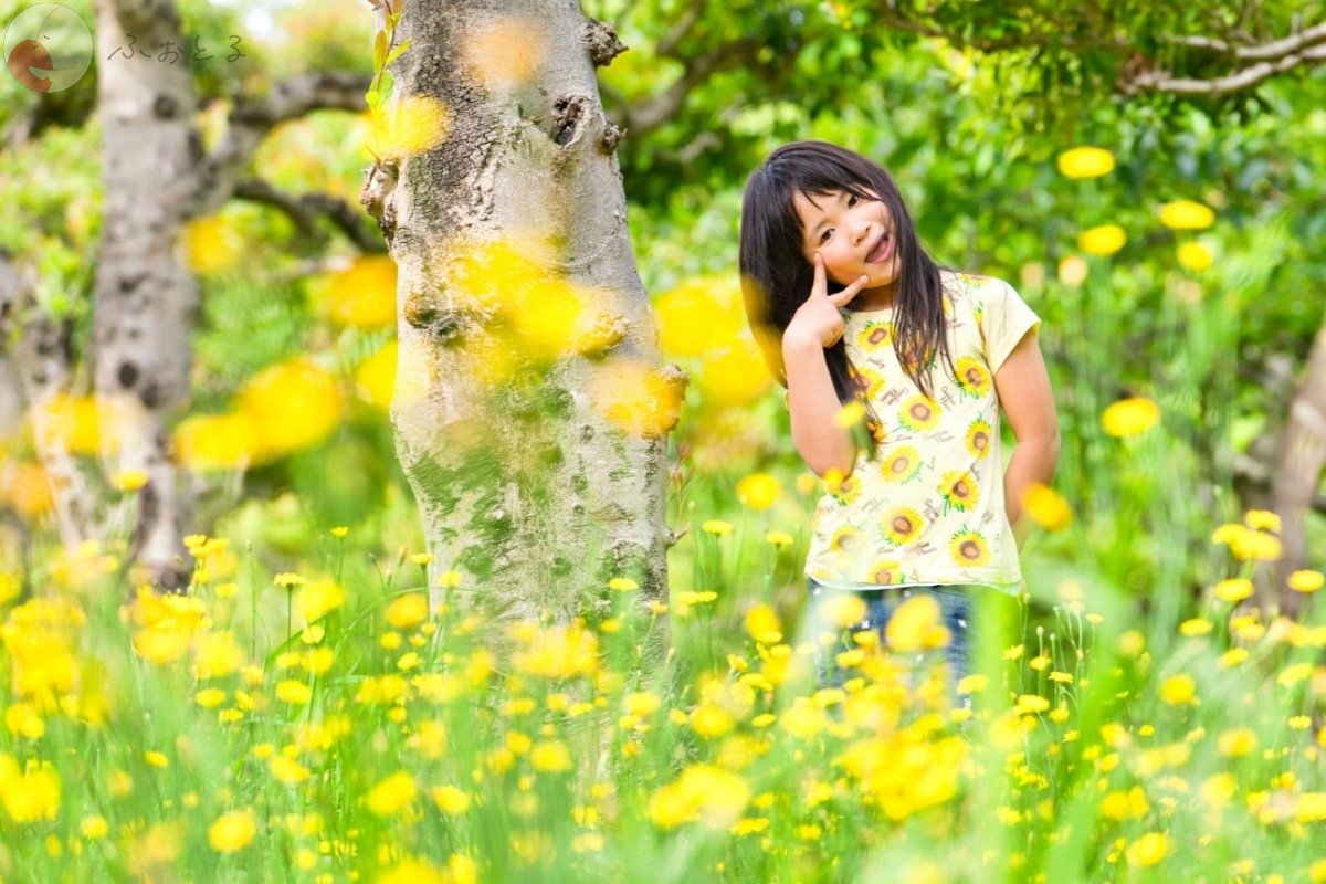 もあさらフォトのポートフォリオ1