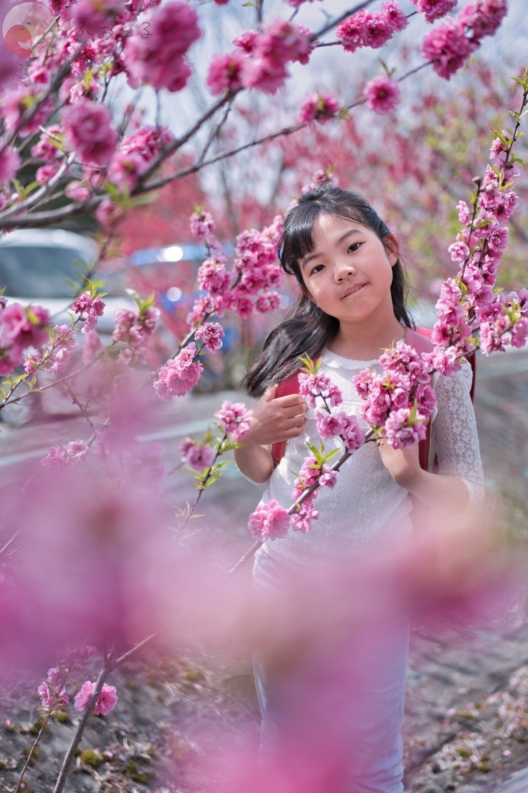 もあさらフォトのポートフォリオ3