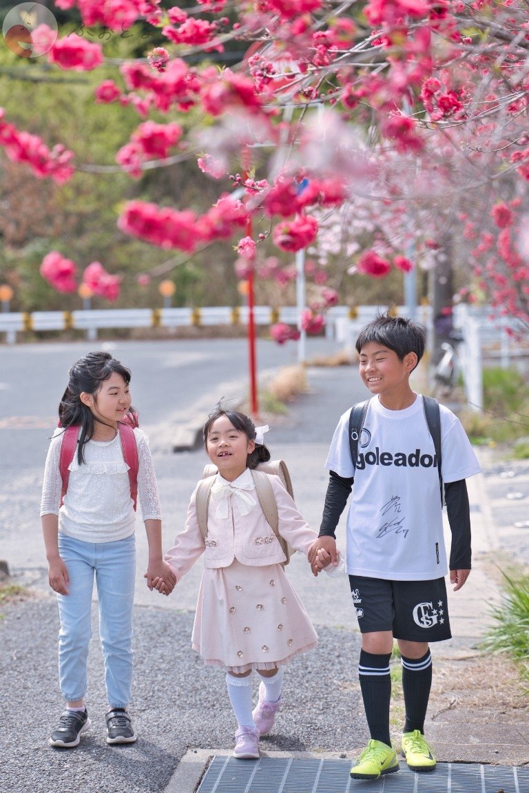 もあさらフォトのポートフォリオ8