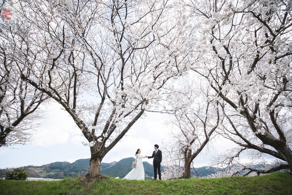 ナカムラ タカノリのポートフォリオ6