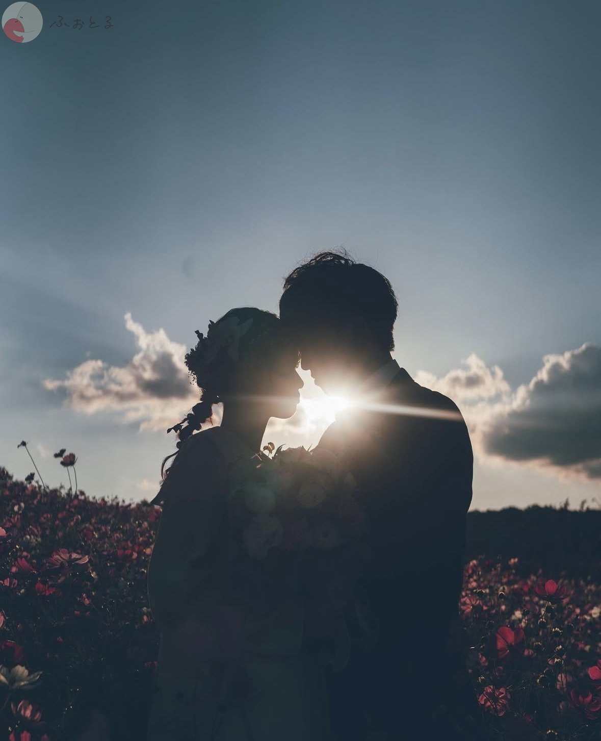 shioのポートフォリオ1