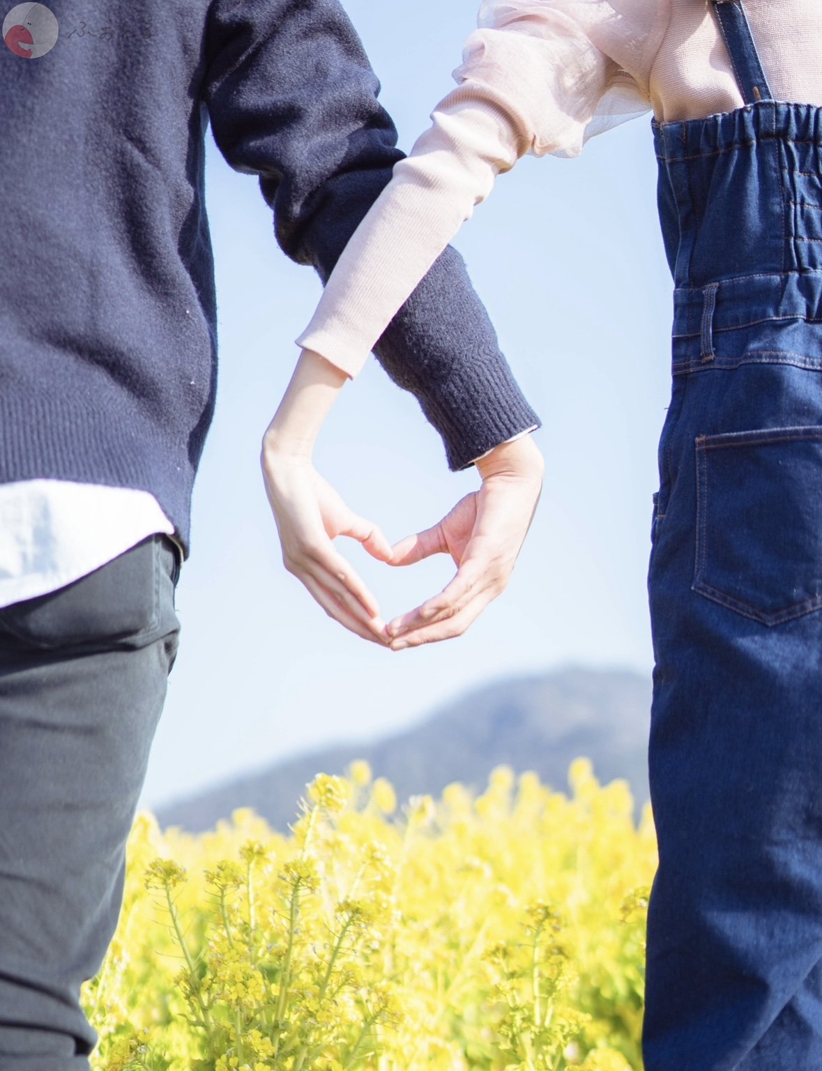 shioのポートフォリオ4