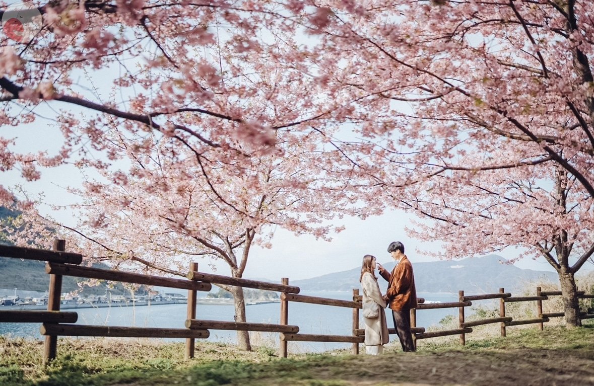 shioのポートフォリオ5