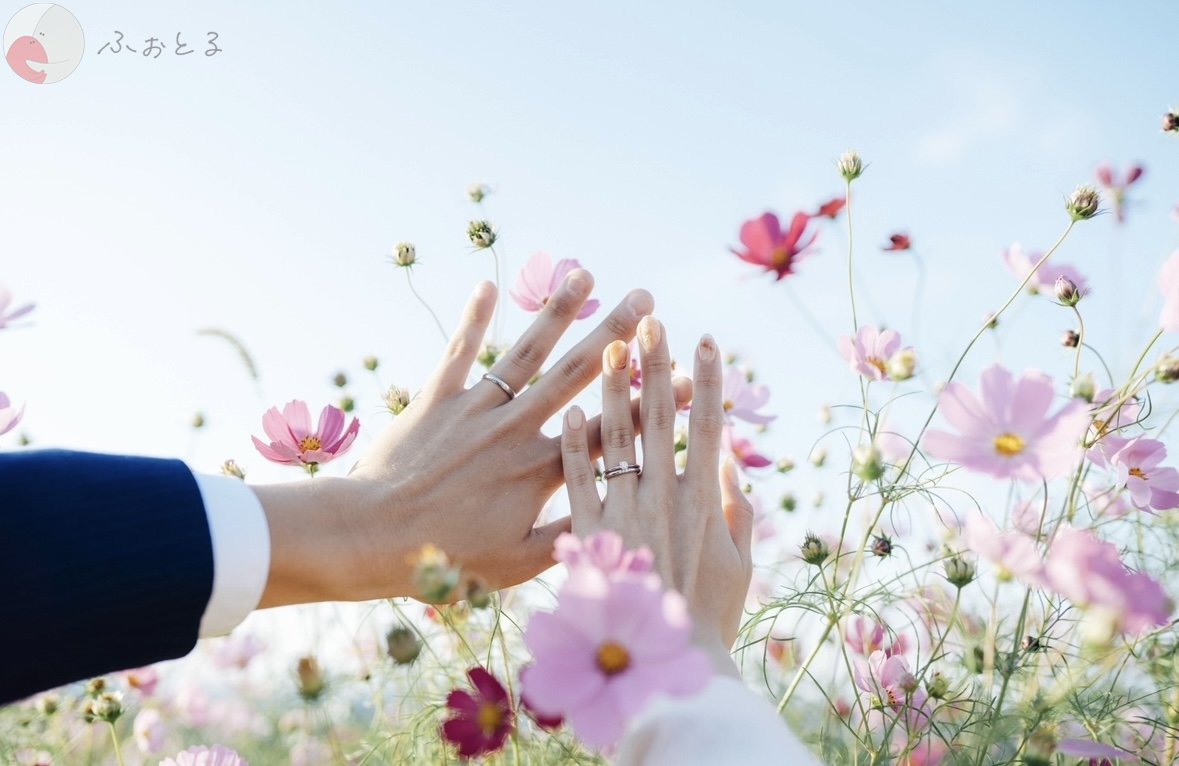 shioのポートフォリオ9