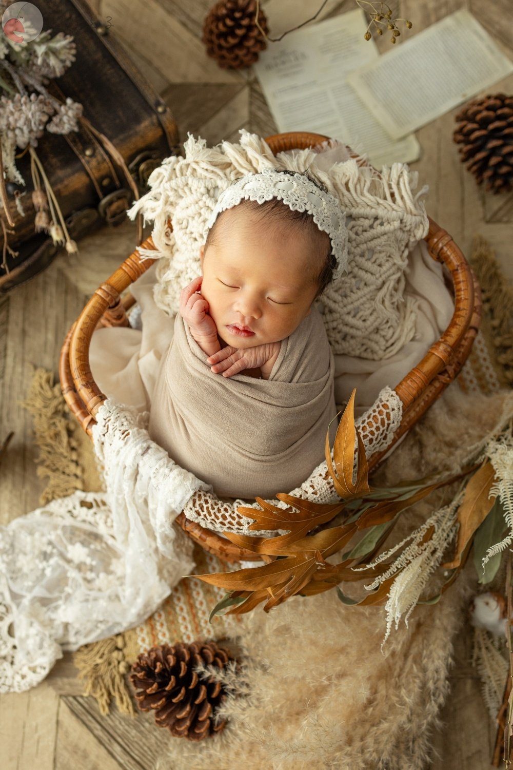 Haru newbornのポートフォリオ1