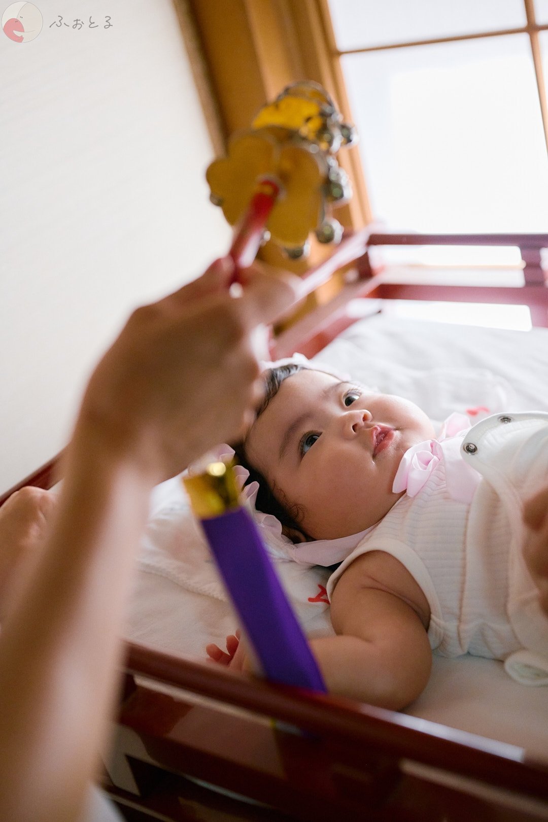 Kodamaのポートフォリオ2