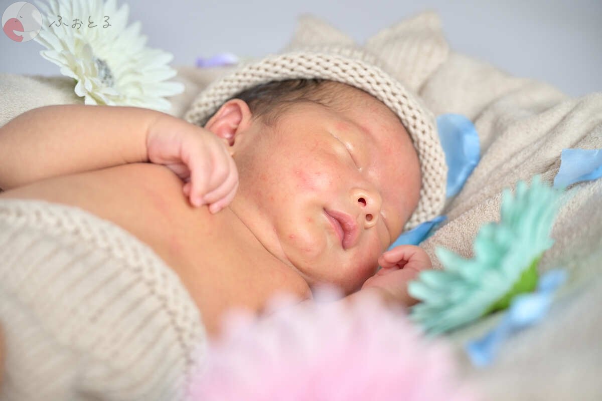 Kodamaのポートフォリオ2