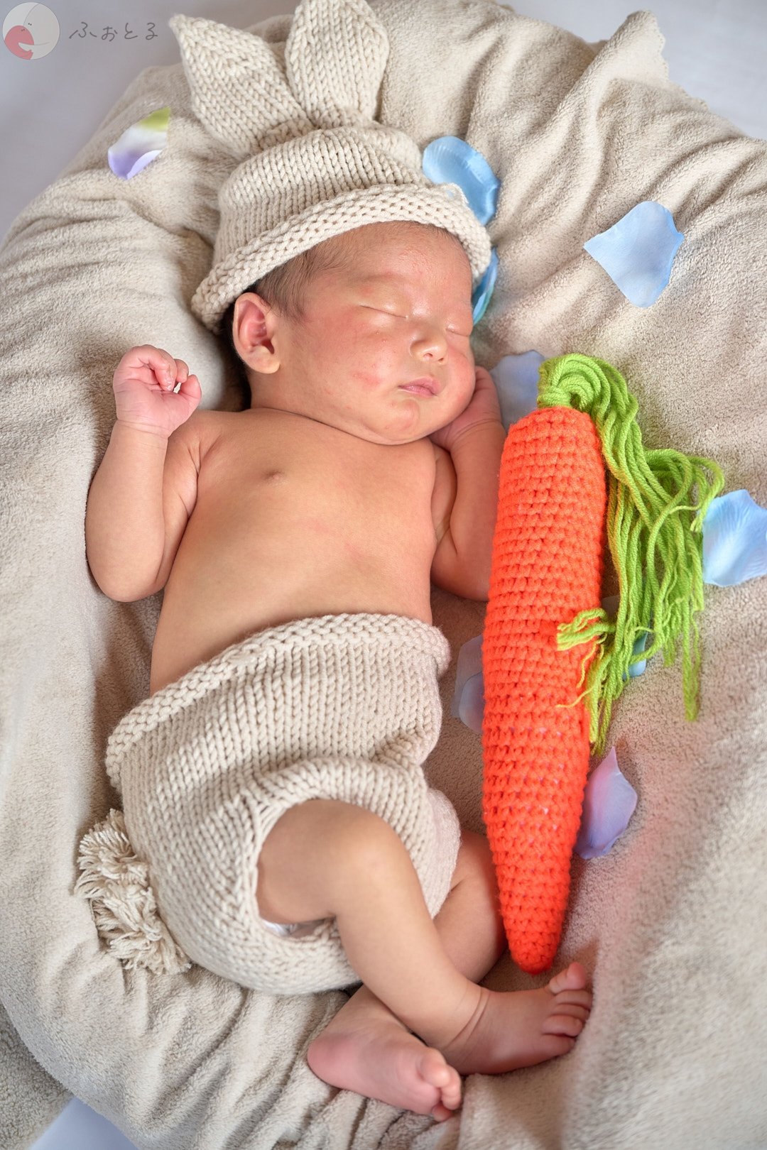 Kodamaのポートフォリオ9