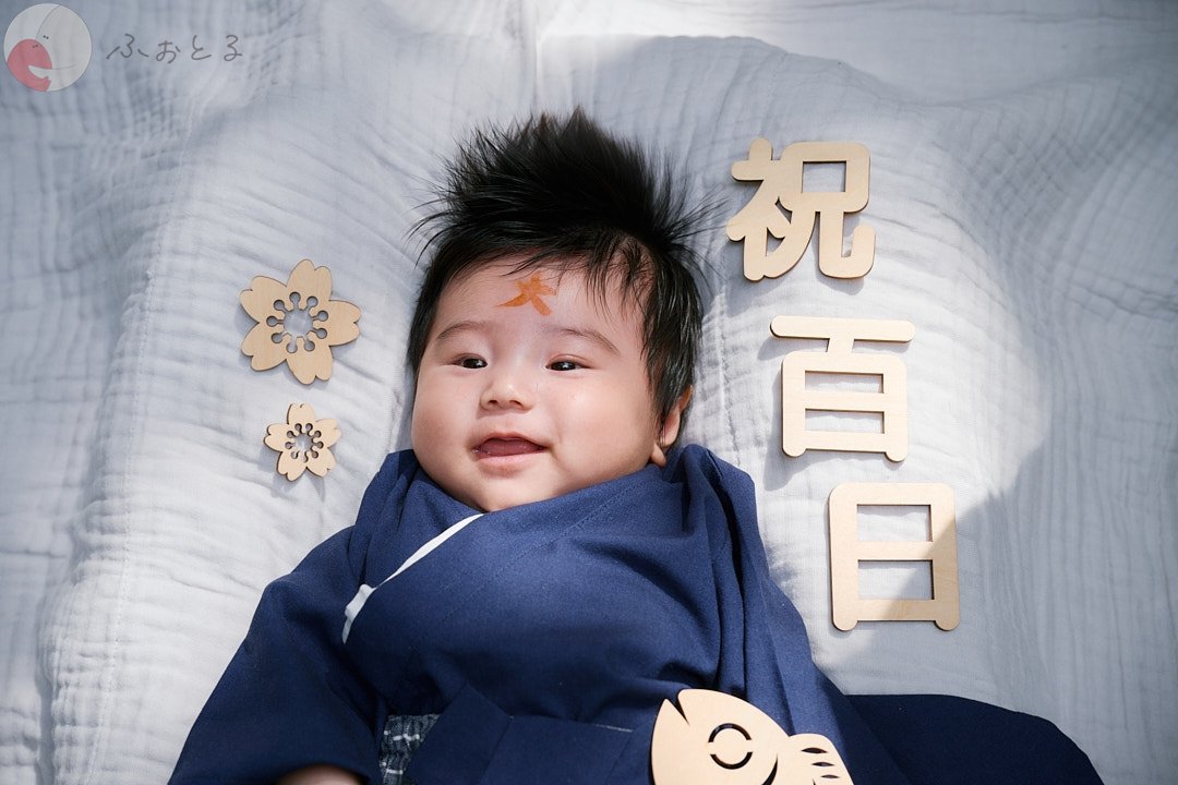 Kodamaのポートフォリオ2