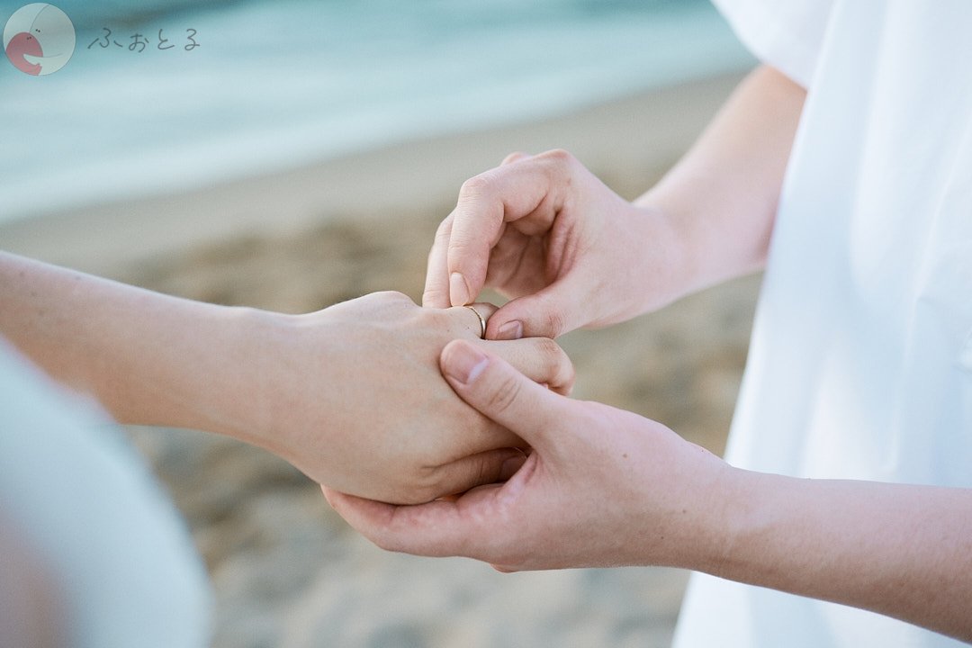 Kodamaのポートフォリオ0