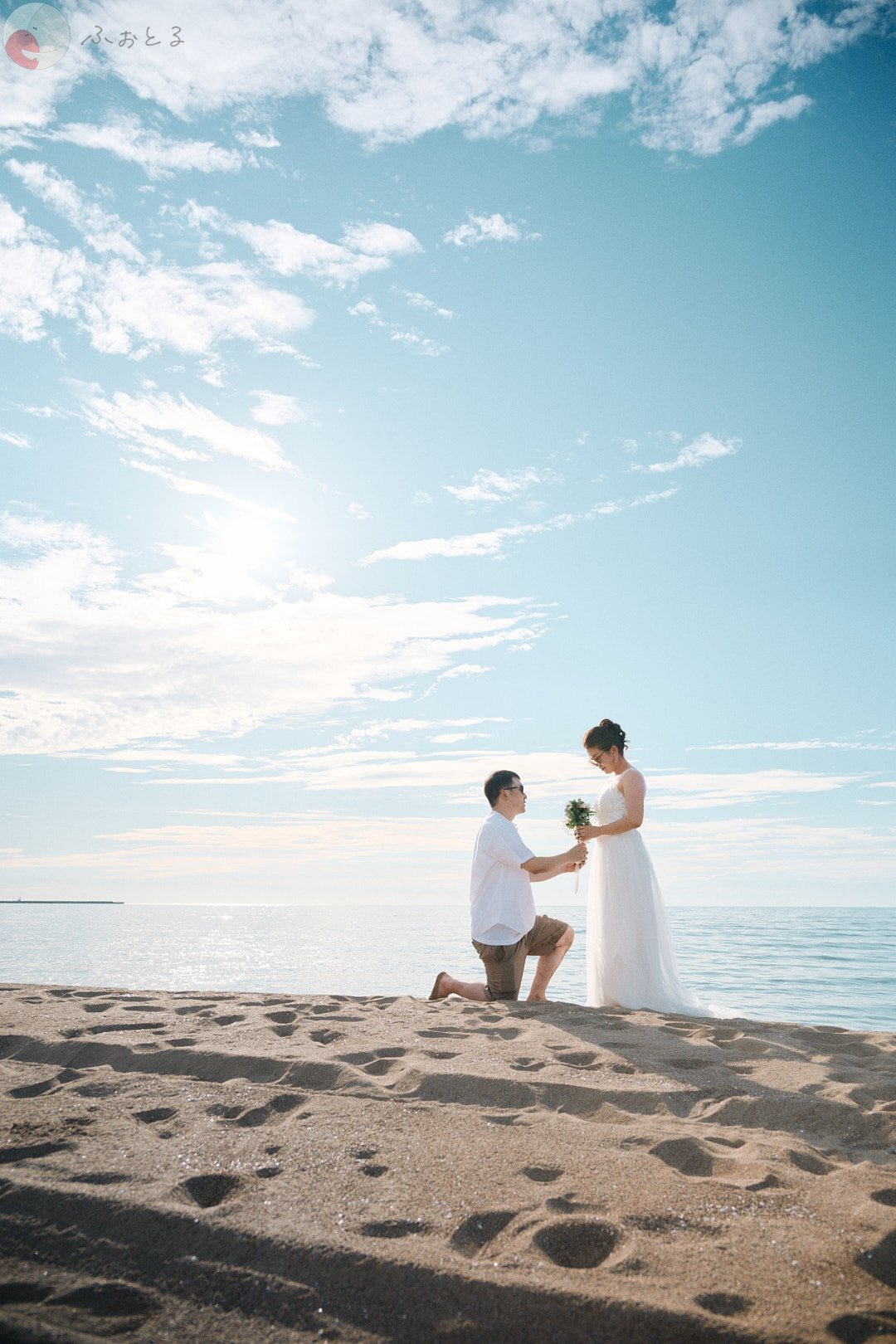 Kodamaのポートフォリオ2