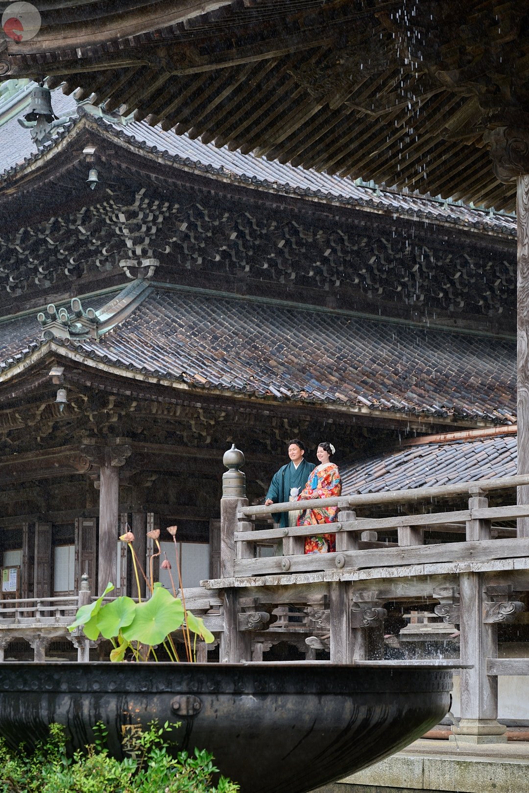 Kodamaのポートフォリオ9