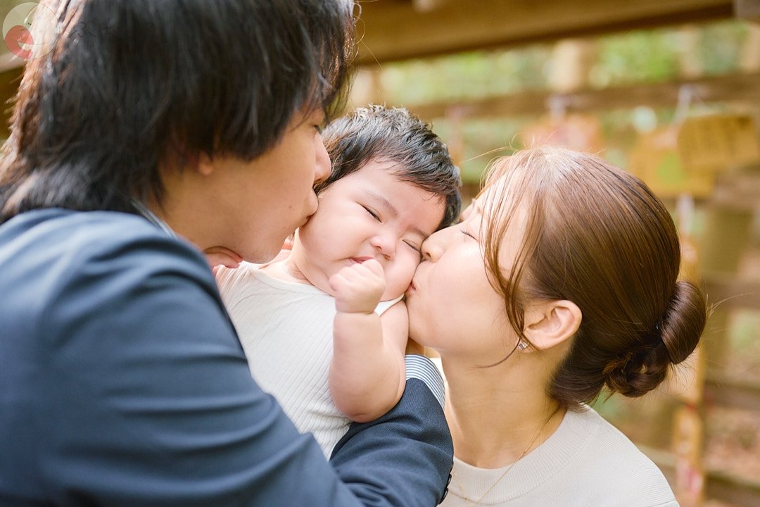 Kodamaのポートフォリオ4