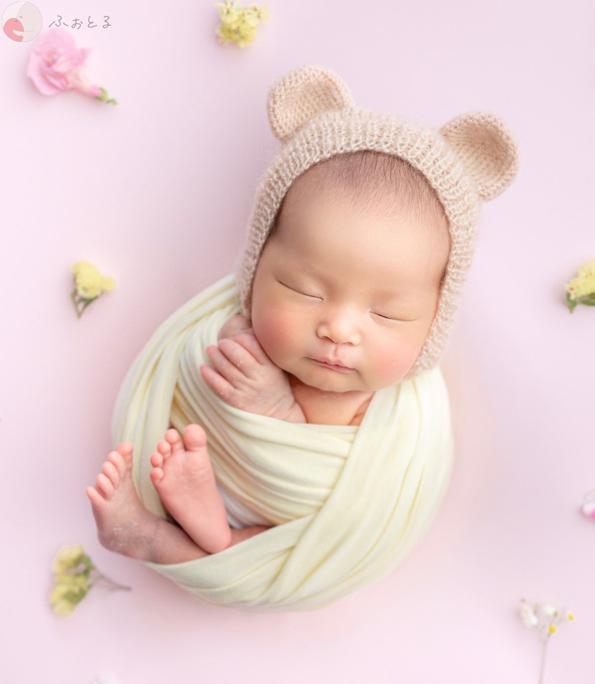 なおこのポートフォリオ0