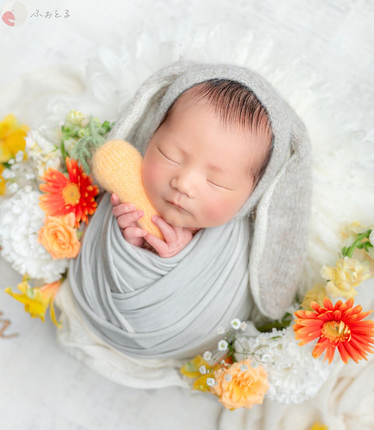 なおこのポートフォリオ1