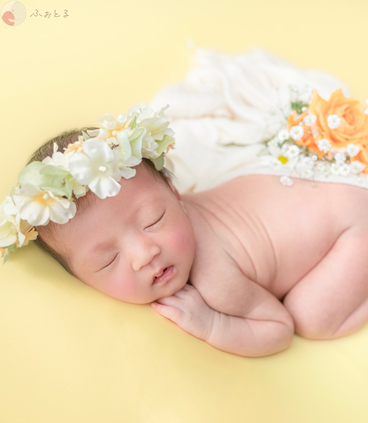 なおこのポートフォリオ6