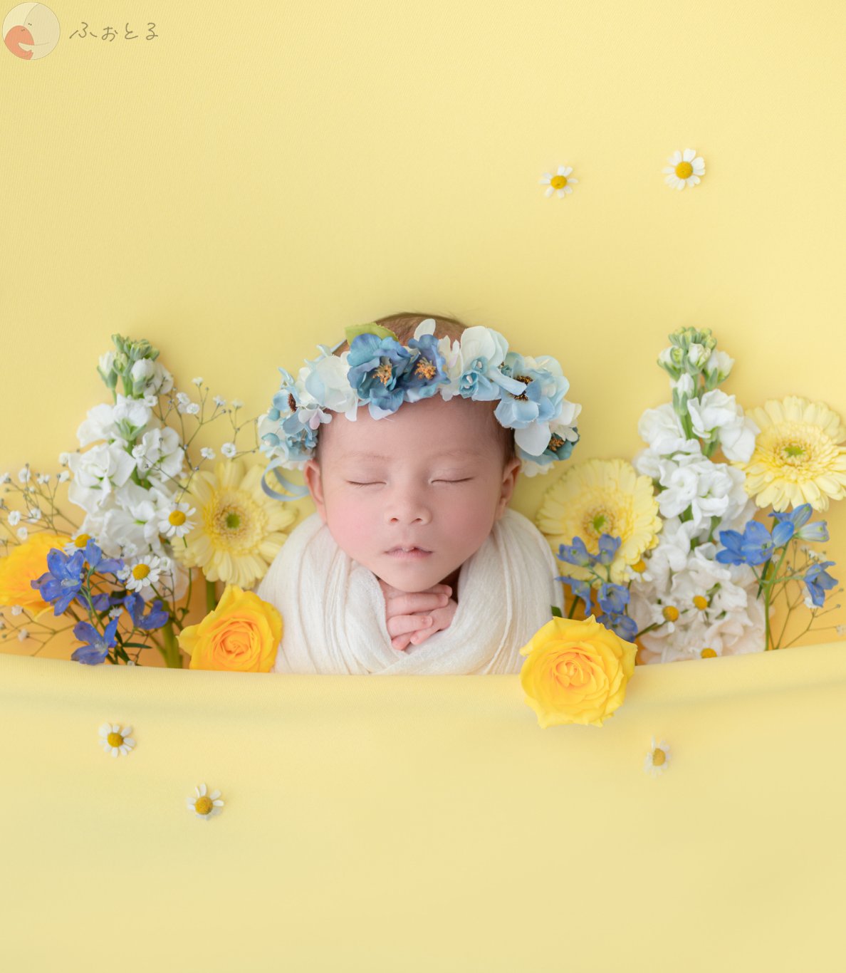 なおこのポートフォリオ0