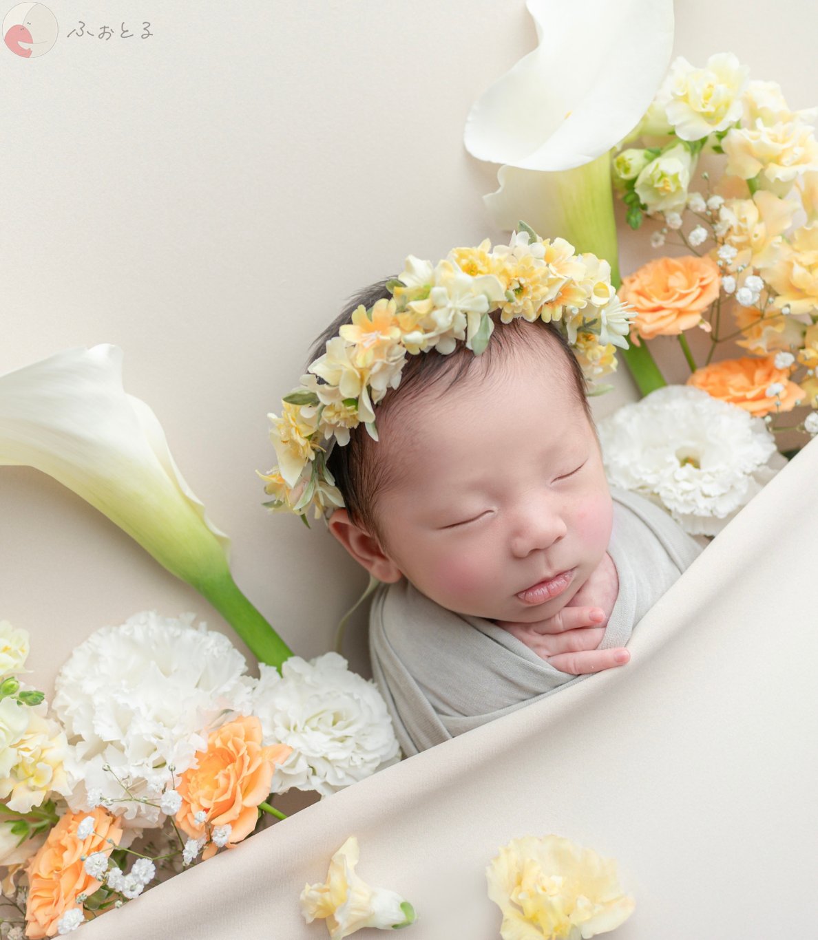 なおこのポートフォリオ8