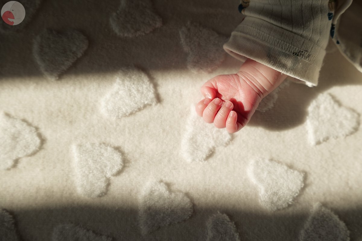 だいちゃんのポートフォリオ1