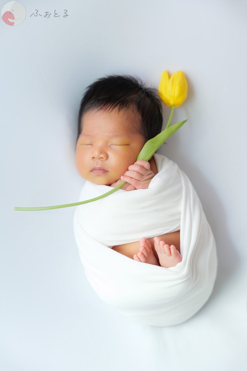 だいちゃんのポートフォリオ1