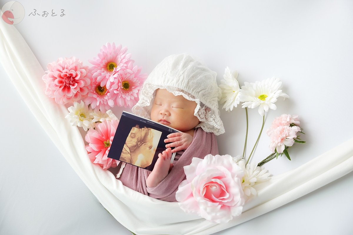 だいちゃんのポートフォリオ3