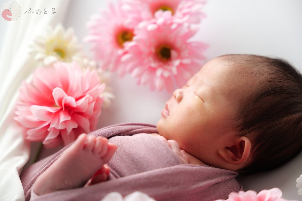 だいちゃんのポートフォリオ4