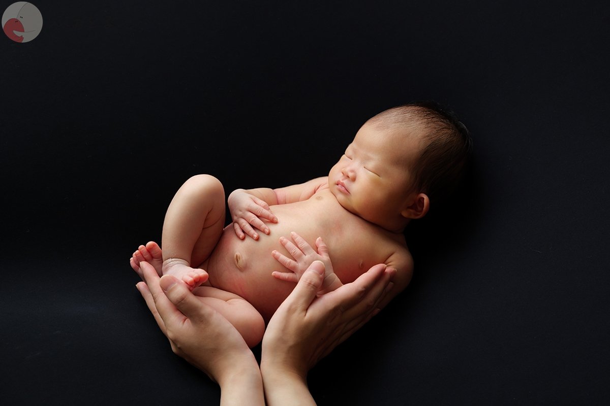 だいちゃんのポートフォリオ5