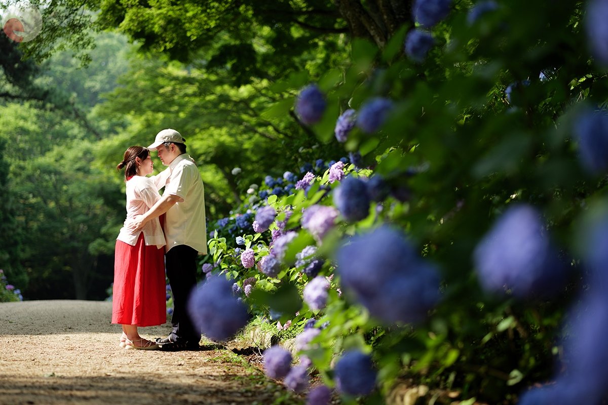 だいちゃんのポートフォリオ7