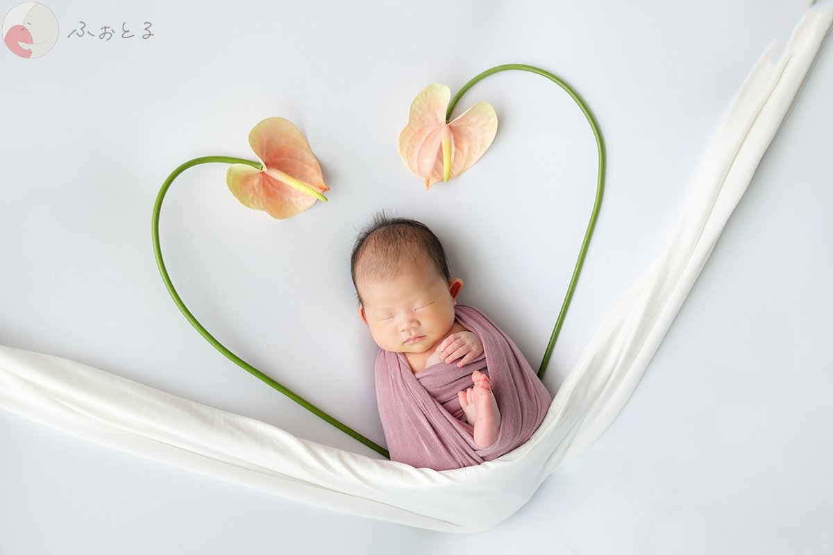 だいちゃんのポートフォリオ8