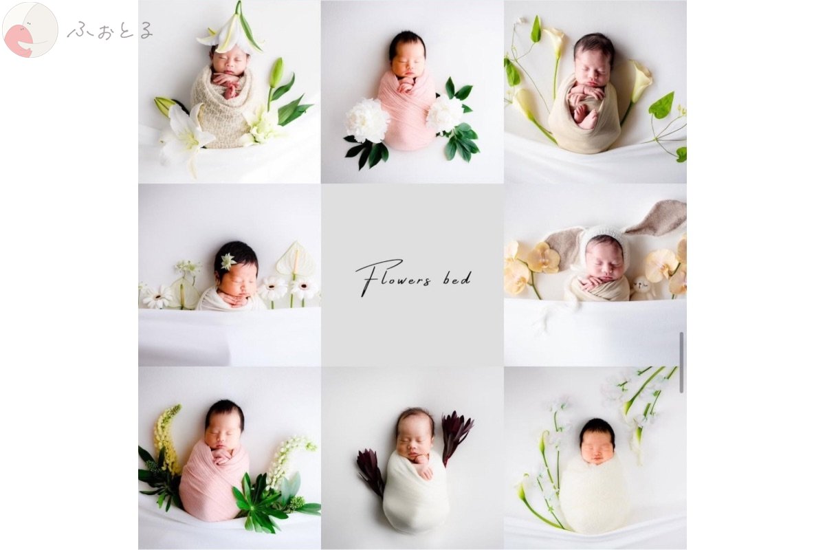 Nozomi Yamajiのポートフォリオ2