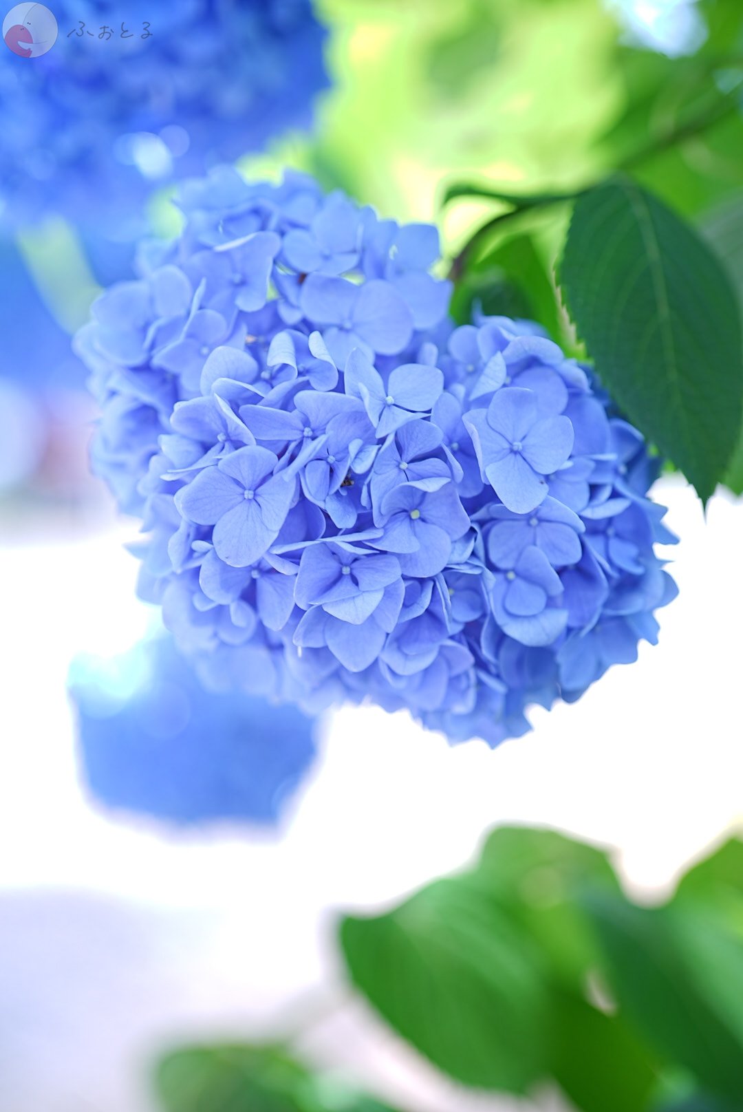 みゆうのポートフォリオ1