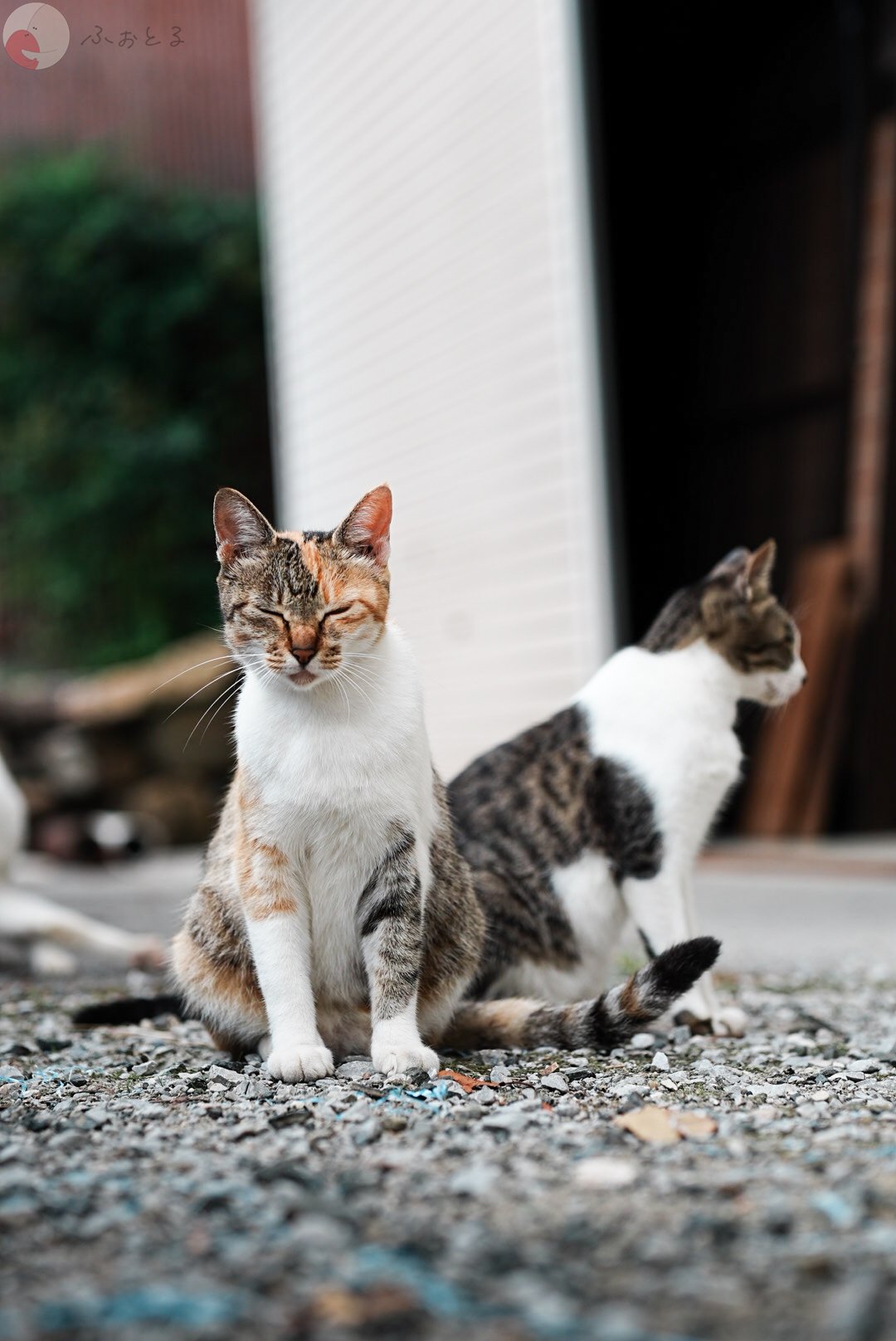 みゆうのポートフォリオ4