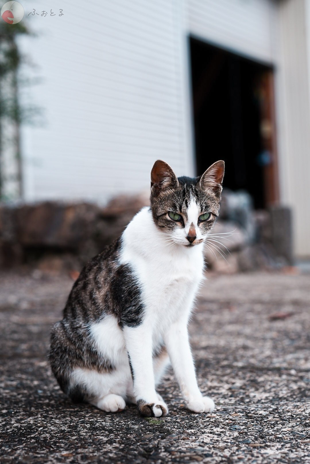 みゆうのポートフォリオ7