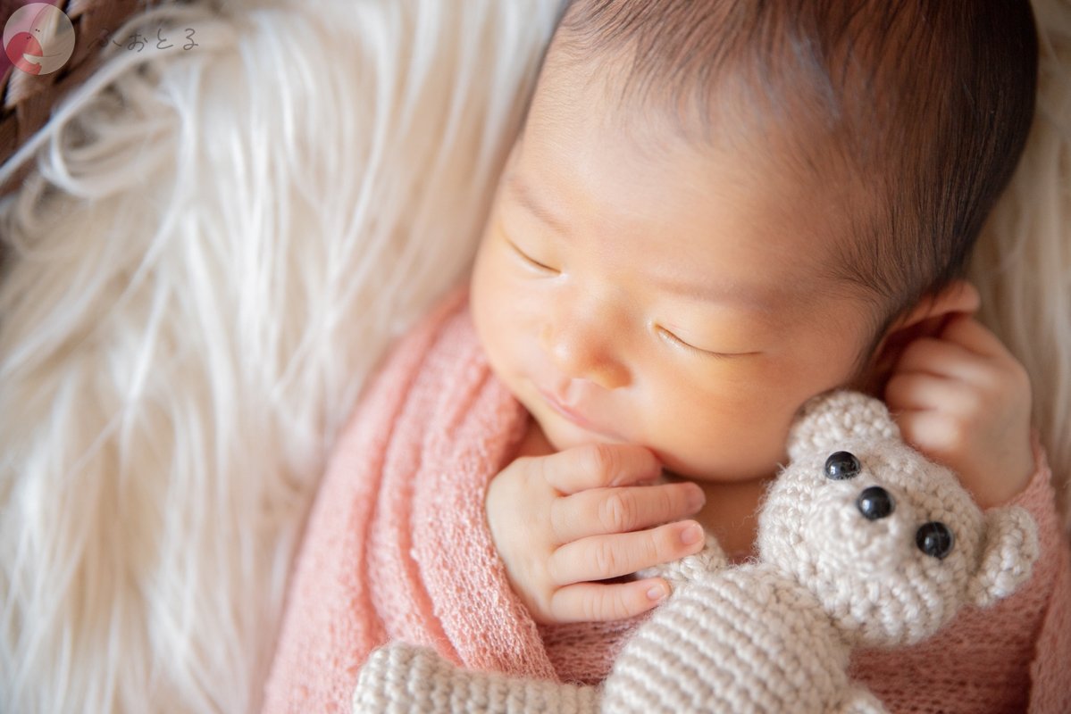 菊川えりこのポートフォリオ0