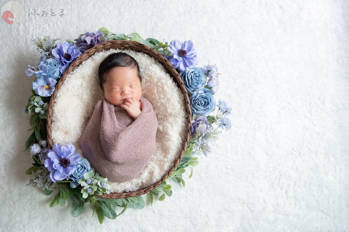 菊川えりこのポートフォリオ4